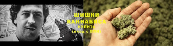 ПСИЛОЦИБИНОВЫЕ ГРИБЫ Белокуриха