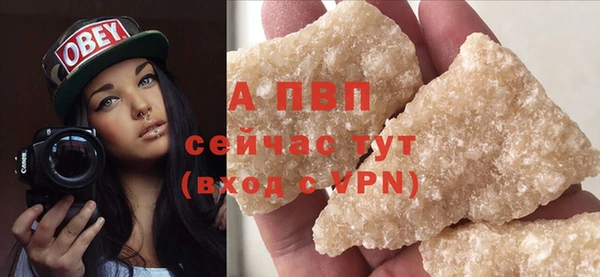 ПСИЛОЦИБИНОВЫЕ ГРИБЫ Белокуриха